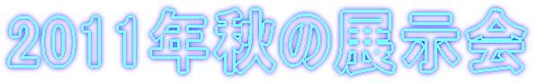 2011”NH‚Ì“Wަ‰ï
