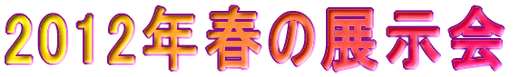 2011�N�H�̓W���� 