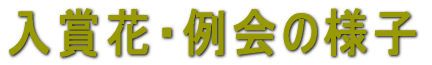 ���܉� 