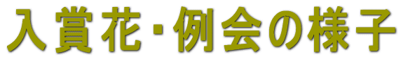 ���܉� 