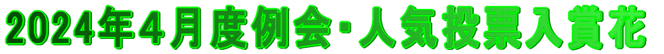�R���x���E�l�C���[ 
