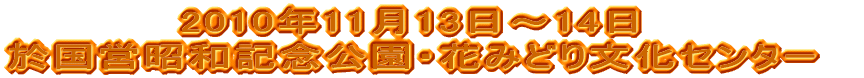 2010�N11��13���`14�� �����c���a�L�O�����E�Ԃ݂ǂ蕶���Z���^�[