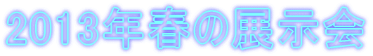 2013�N�t�̓W���� 