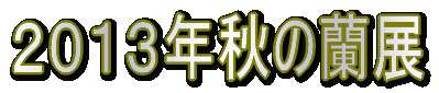 �Q�O�P�R�N�H�̗��W 