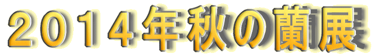 �Q�O�P�S�H�̗��W