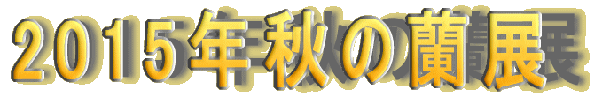 2015NHĖW