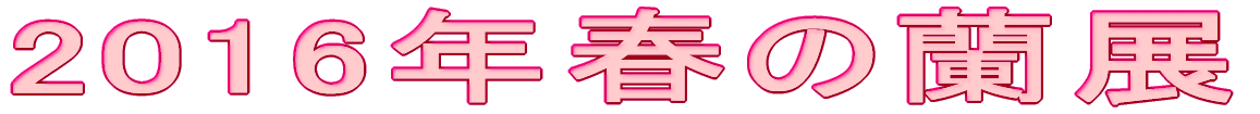 2015�N�H�̗��W