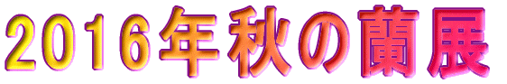 2016�N�H�̗��W 