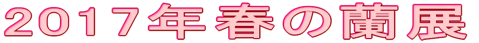 2017”Nt‚Ì—–“W