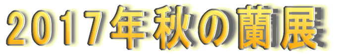 2,017�N�H�̗��W
