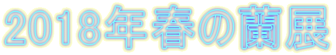2018�N�t�̗��W 
