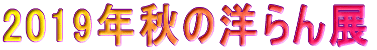 2019�N�H�̗m���W