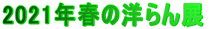 2021年春の洋らん展