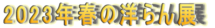 2023�N�t�̗m���W