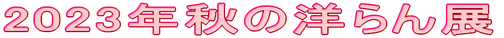 2023�N�H�̗m���W